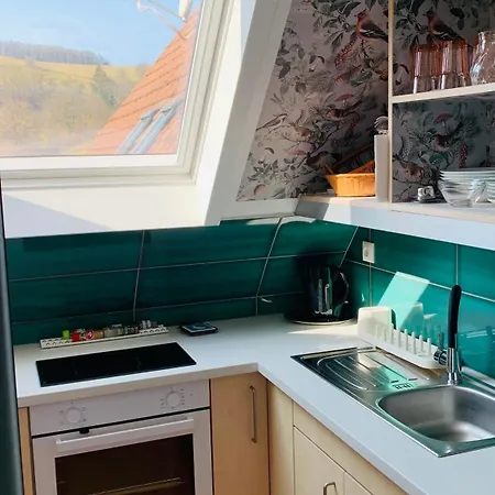 Haus Sonnenschein Apartment Mespelbrunn Room photo