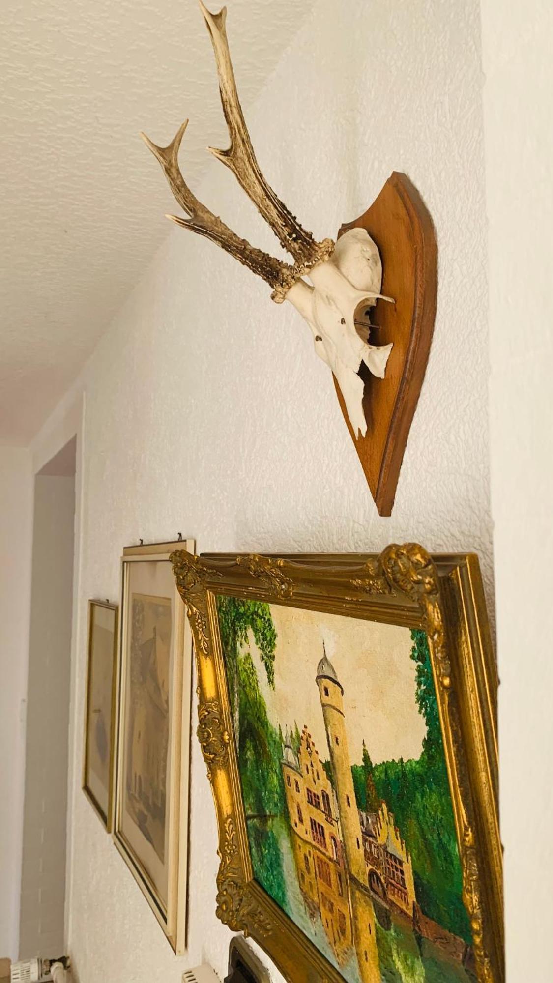 Haus Sonnenschein * Mespelbrunn